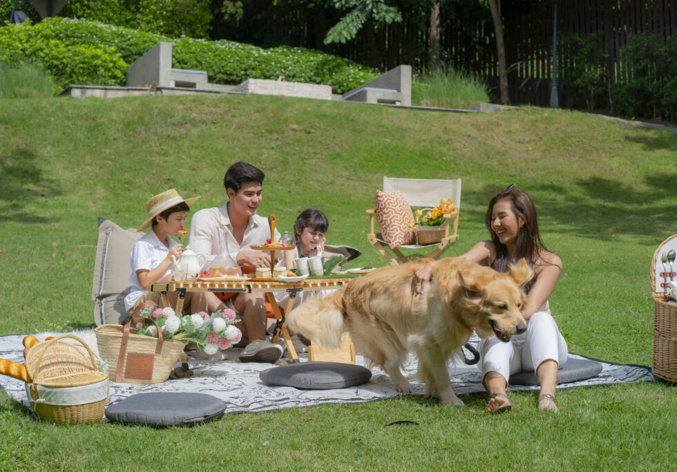 Picnic Afternoon Tea