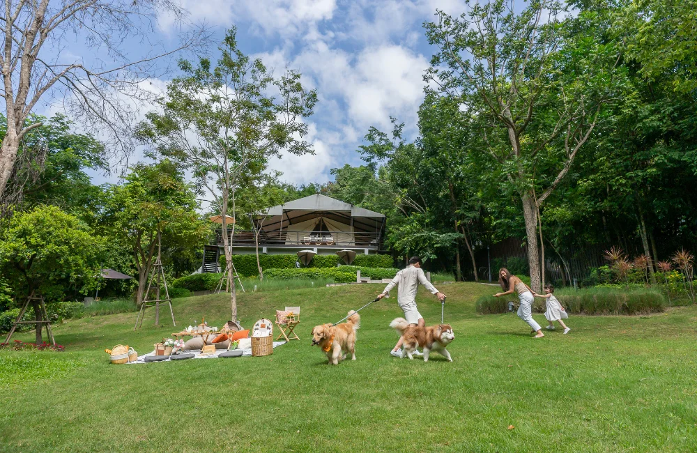 เท มาต้า แกลมปิ้ง (Te Mata Glamping)